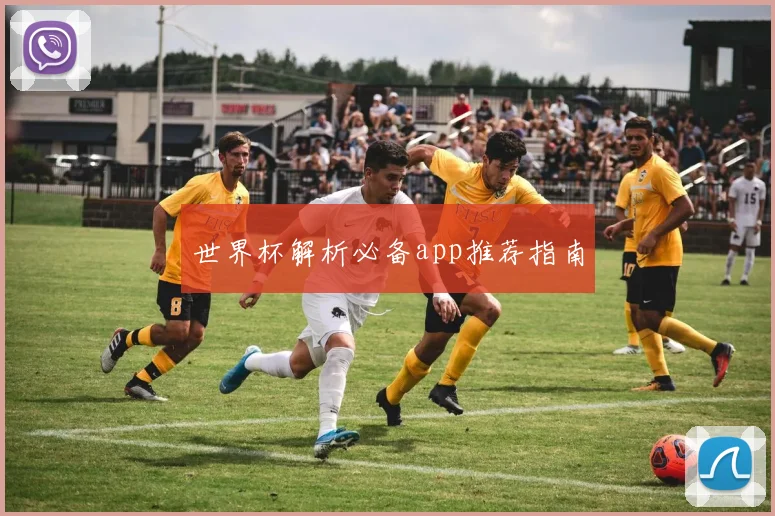 世界杯解析必备app推荐指南