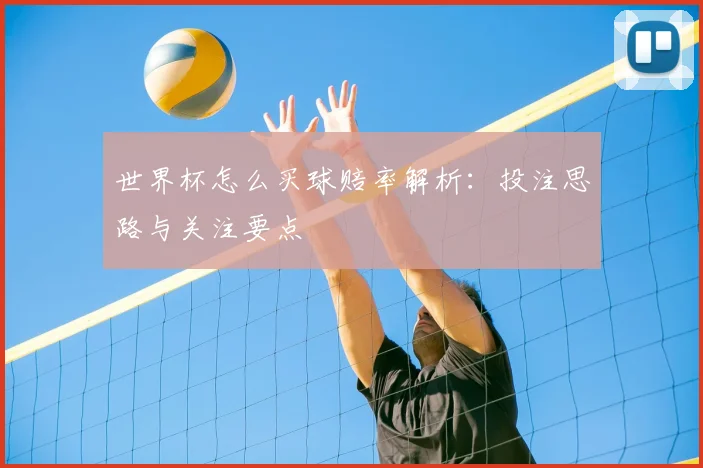 世界杯怎么买球赔率解析：投注思路与关注要点