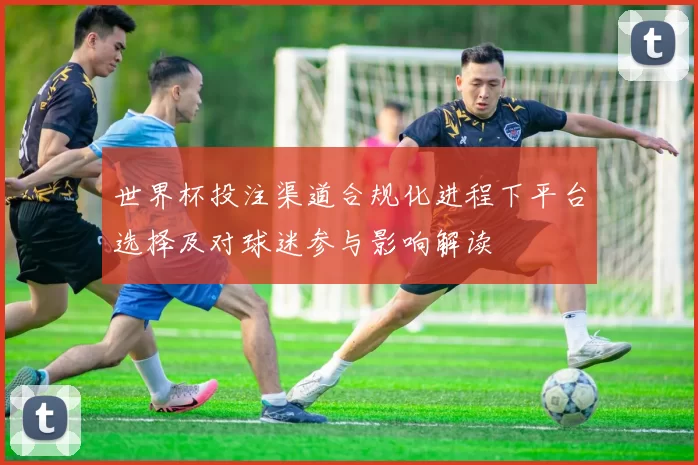 世界杯投注渠道合规化进程下平台选择及对球迷参与影响解读