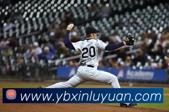 彩合网 - 行业领导者服务体系